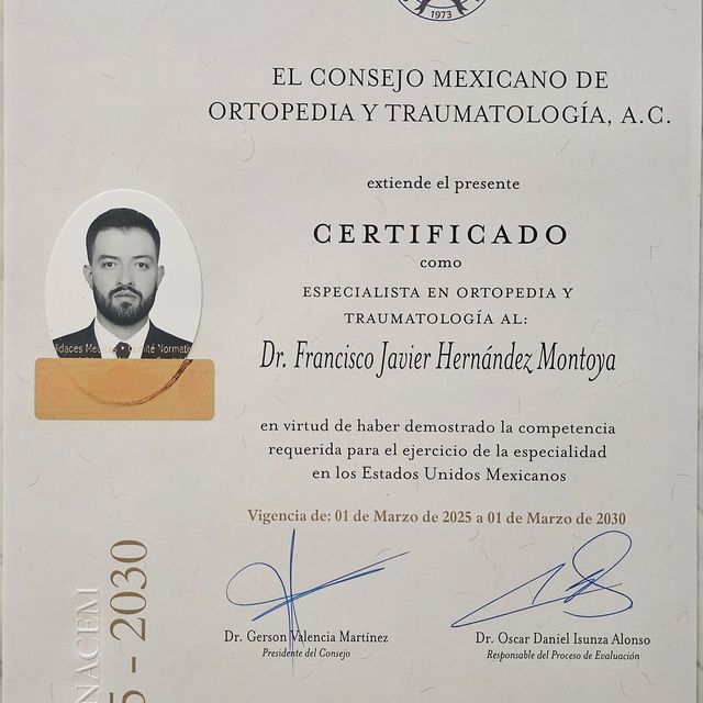 Ampliar imagen: certificate 3