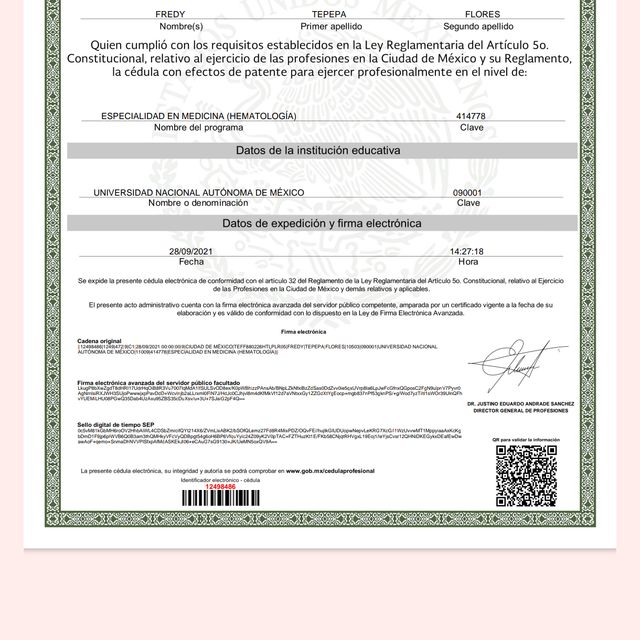 Ampliar imagen: certificate 2