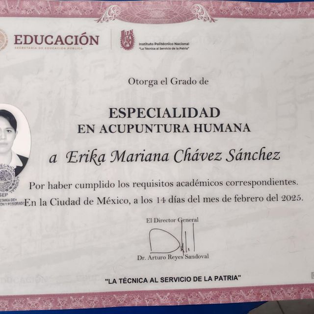 Ampliar imagen: certificate 2