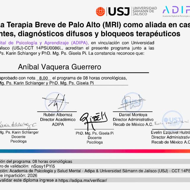 Ampliar imagen: certificate 2