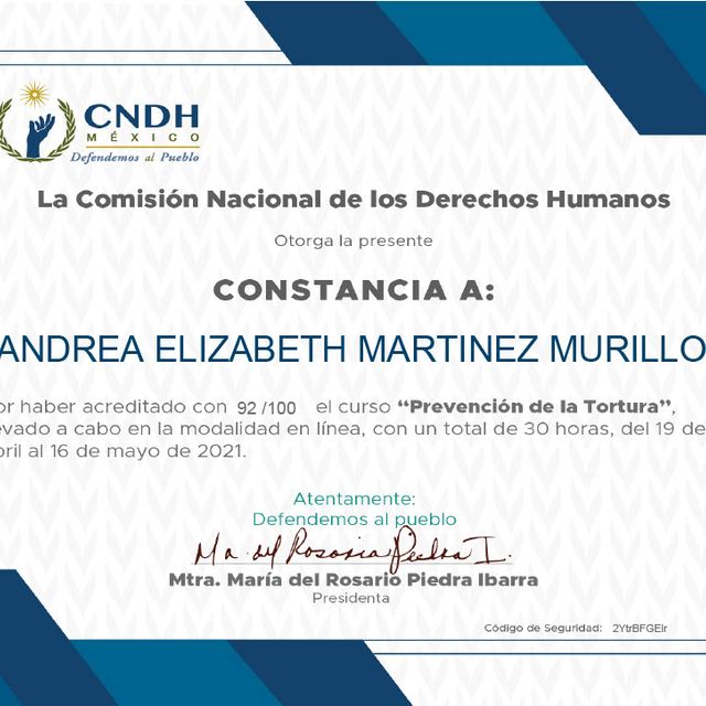 Ampliar imagen: certificate 47