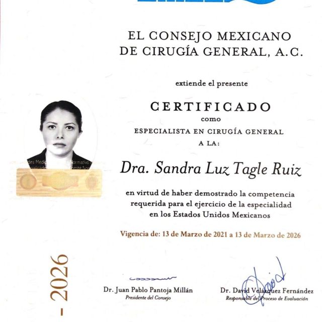 Ampliar imagen: certificate 1
