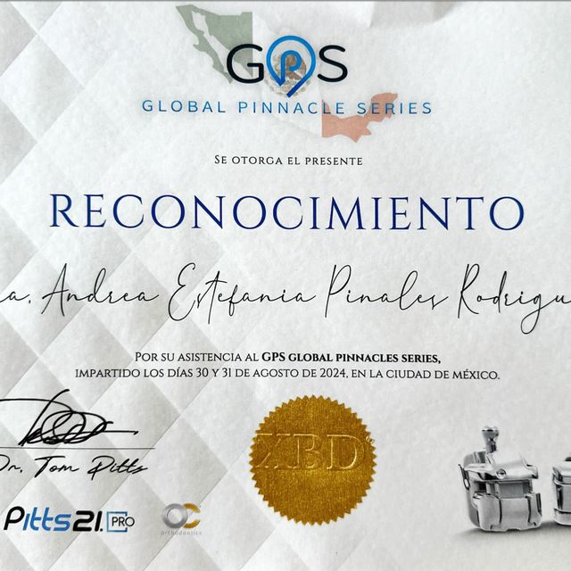 Ampliar imagen: certificate 4