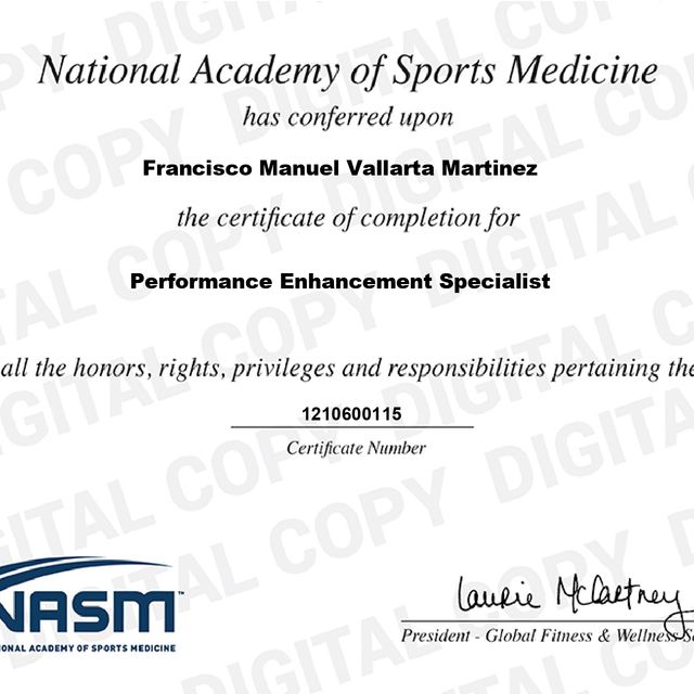 Ampliar imagen: certificate 2