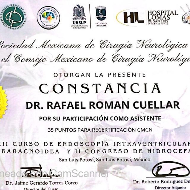 Ampliar imagen: certificate 9