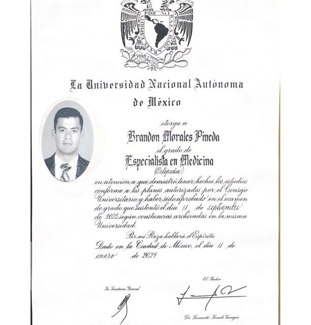Ampliar imagen: certificate 2