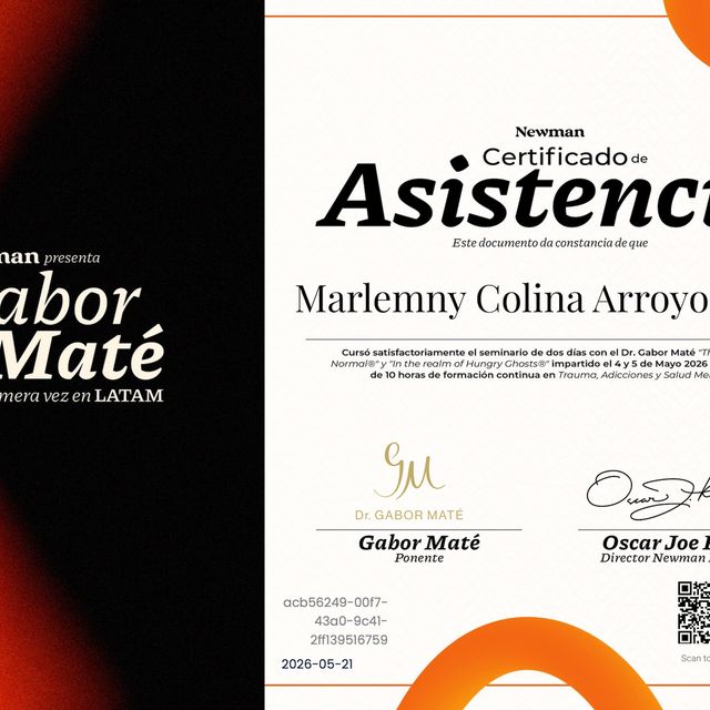 Ampliar imagen: certificate 2