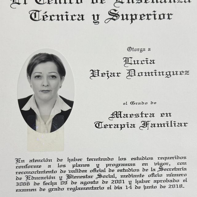 Ampliar imagen: certificate 2