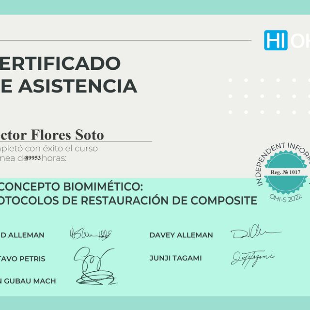 Ampliar imagen: certificate 4