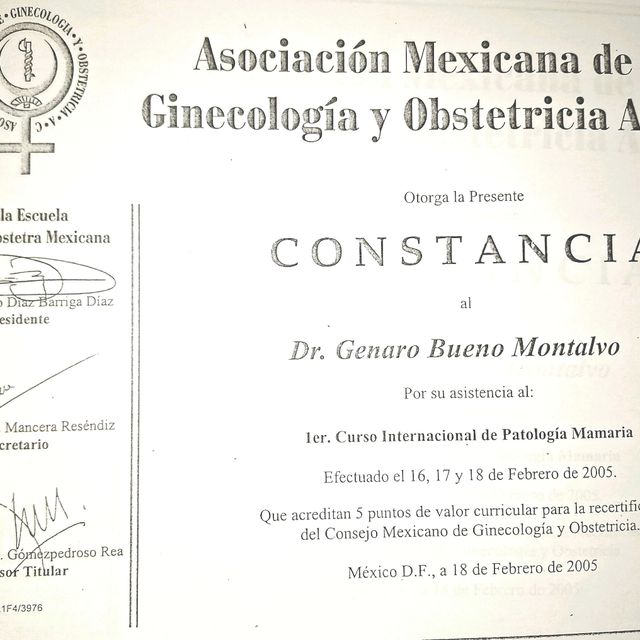 Ampliar imagen: certificate 5