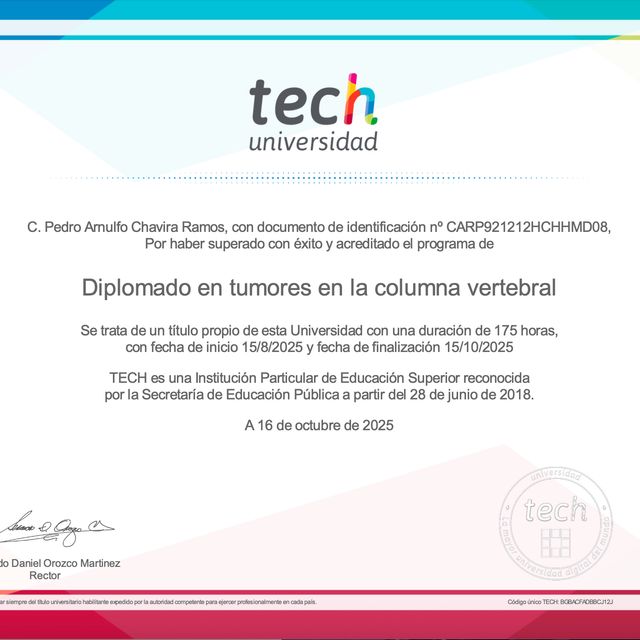 Ampliar imagen: certificate 5
