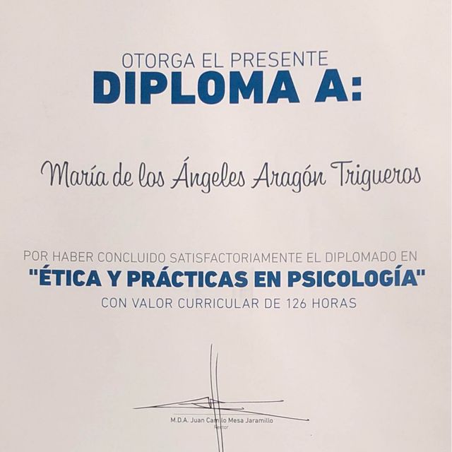 Ampliar imagen: certificate 9