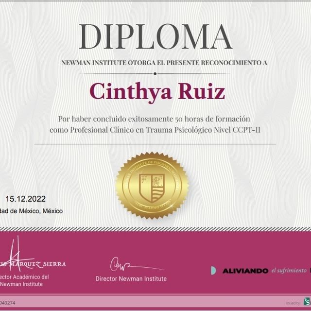 Ampliar imagen: certificate 3