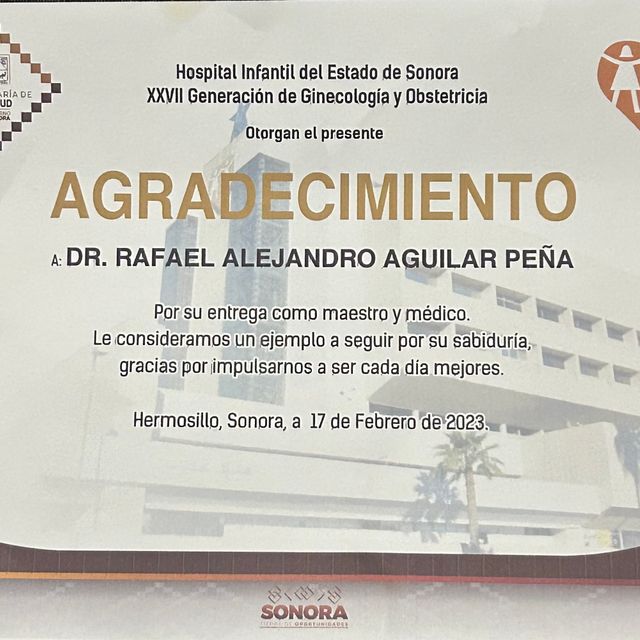 Ampliar imagen: certificate 6