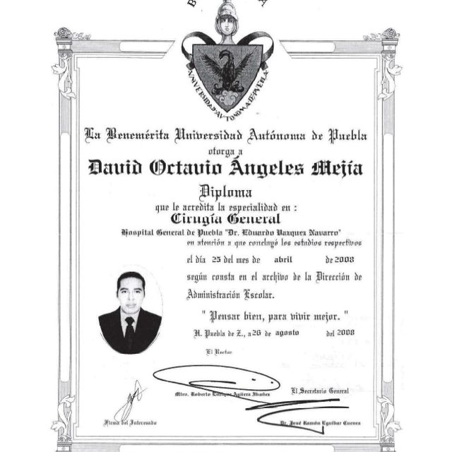 Ampliar imagen: certificate 2