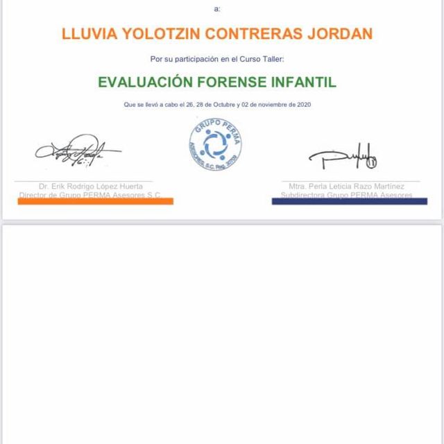 Ampliar imagen: certificate 4