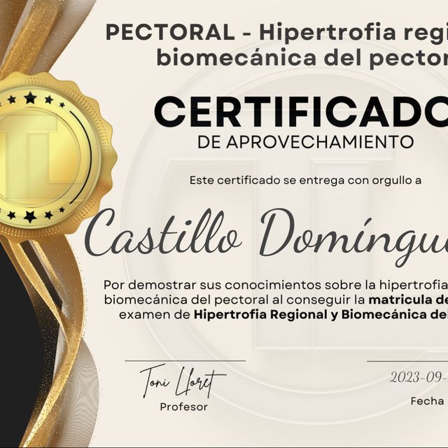 Ampliar imagen: certificate 2