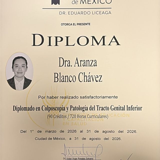 Ampliar imagen: certificate 4
