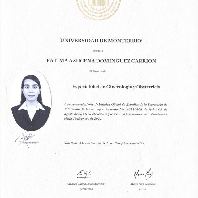 Ampliar imagen: certificate 2
