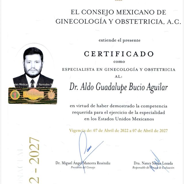 Ampliar imagen: certificate 1