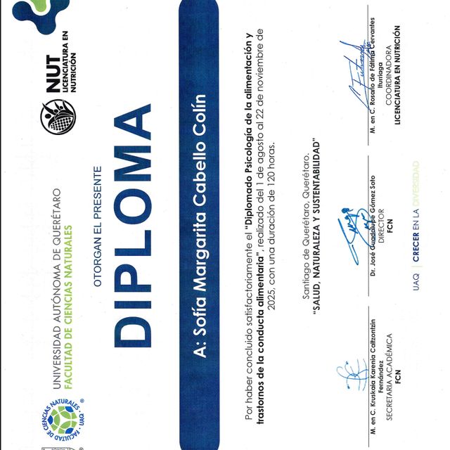 Ampliar imagen: certificate 1