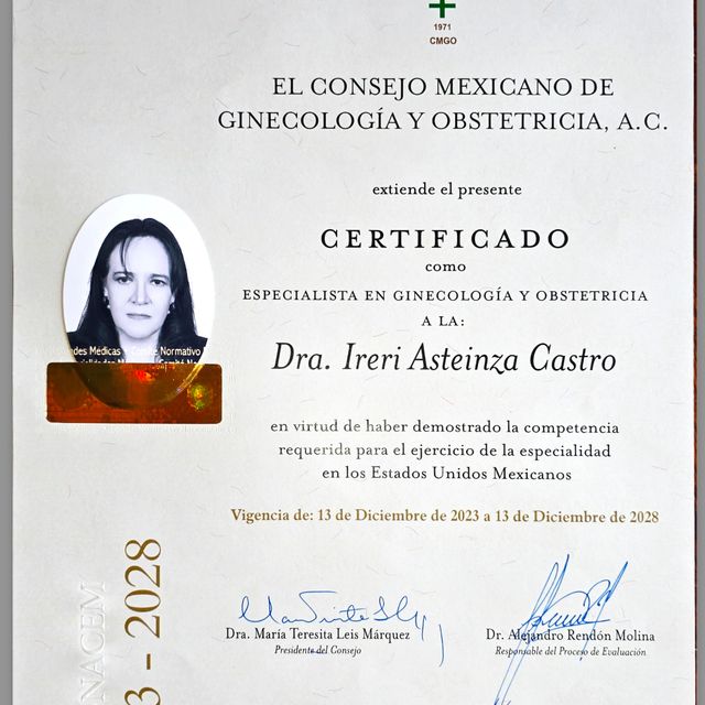 Ampliar imagen: certificate 1