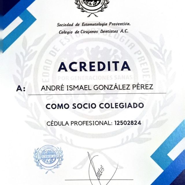 Ampliar imagen: certificate 16
