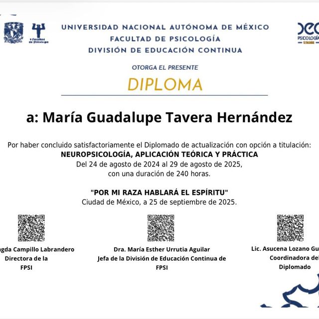 Ampliar imagen: certificate 53