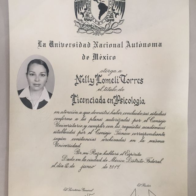 Ampliar imagen: certificate 1