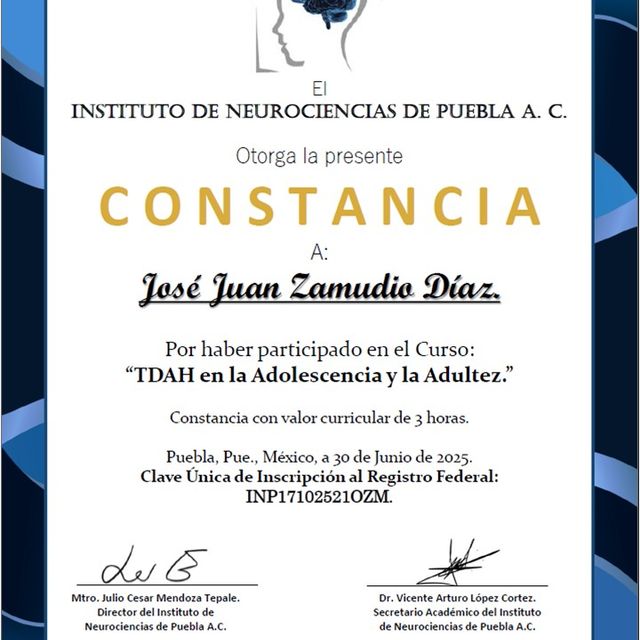 Ampliar imagen: certificate 10