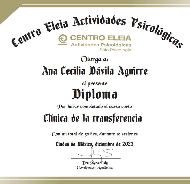 Ampliar imagen: certificate 5
