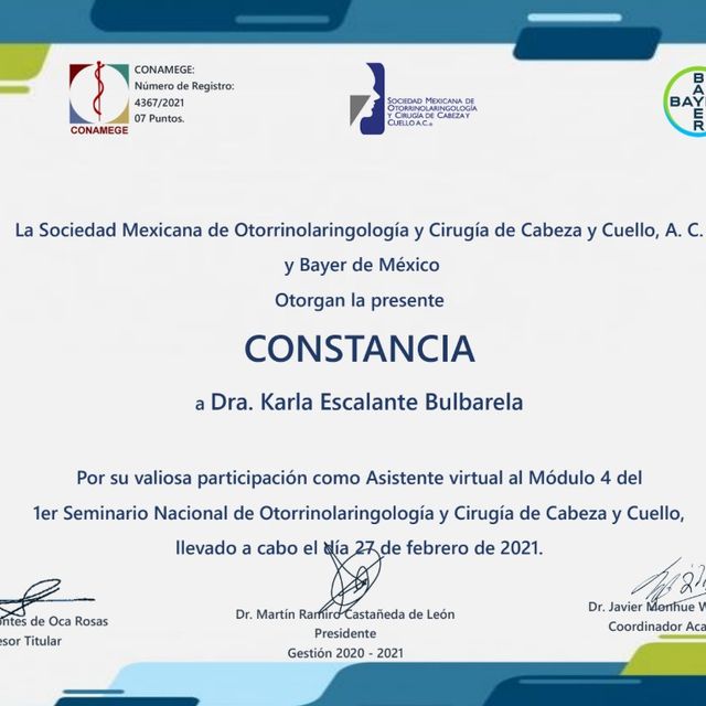 Ampliar imagen: certificate 7