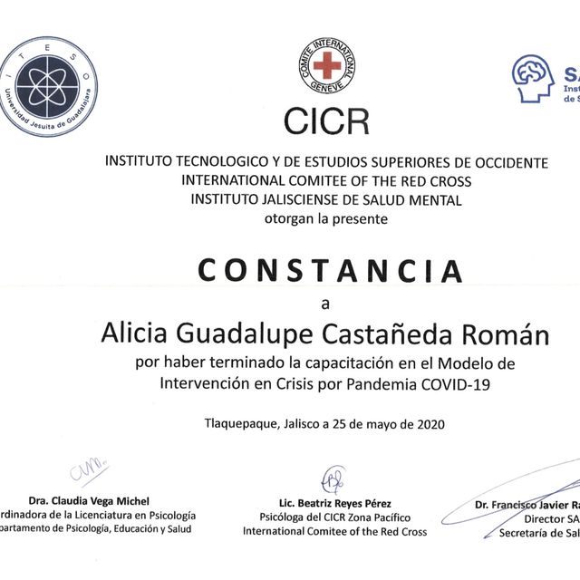 Ampliar imagen: certificate 7