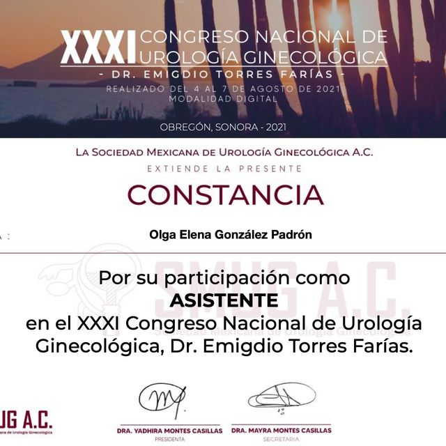 Ampliar imagen: certificate 17