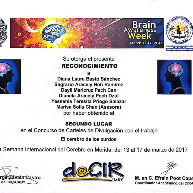 Ampliar imagen: certificate 6