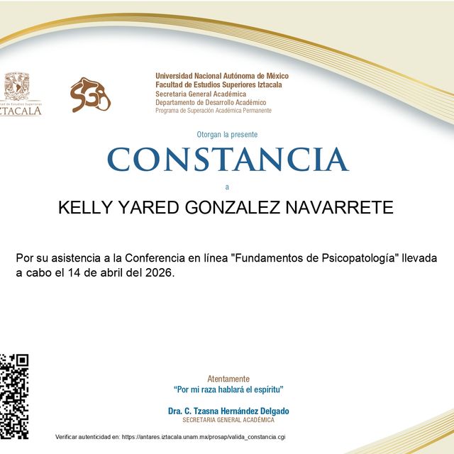 Ampliar imagen: certificate 17