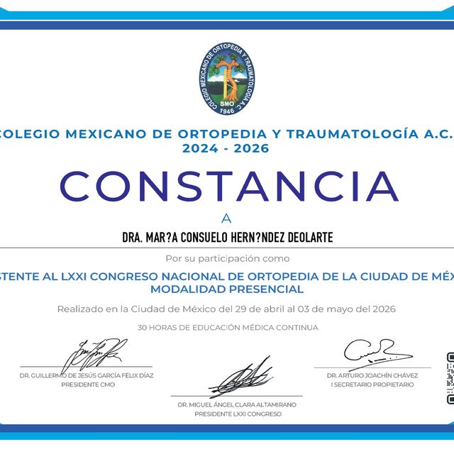 Ampliar imagen: certificate 5
