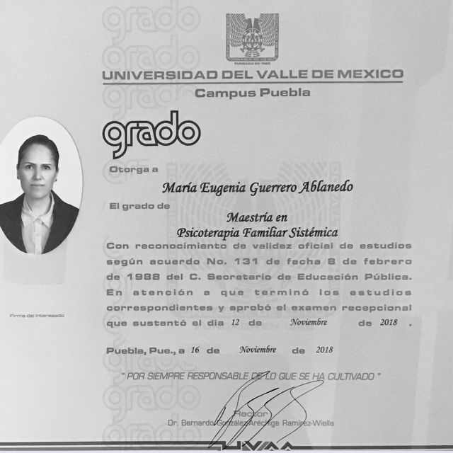 Ampliar imagen: certificate 1