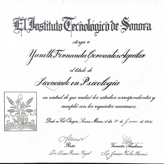 Ampliar imagen: certificate 1