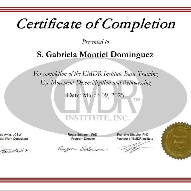 Ampliar imagen: certificate 21