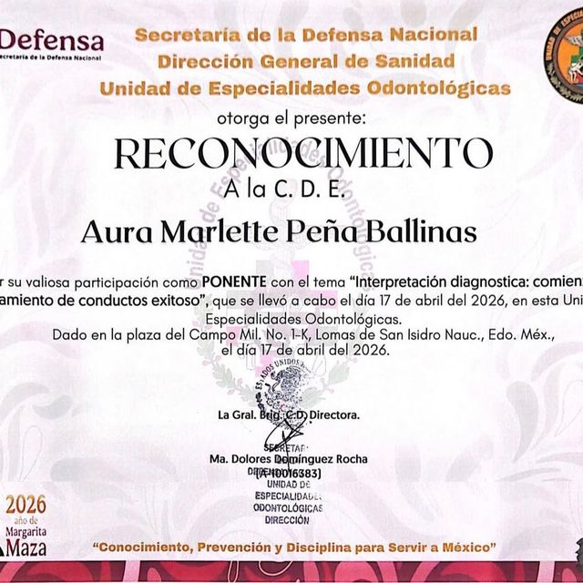 Ampliar imagen: certificate 2