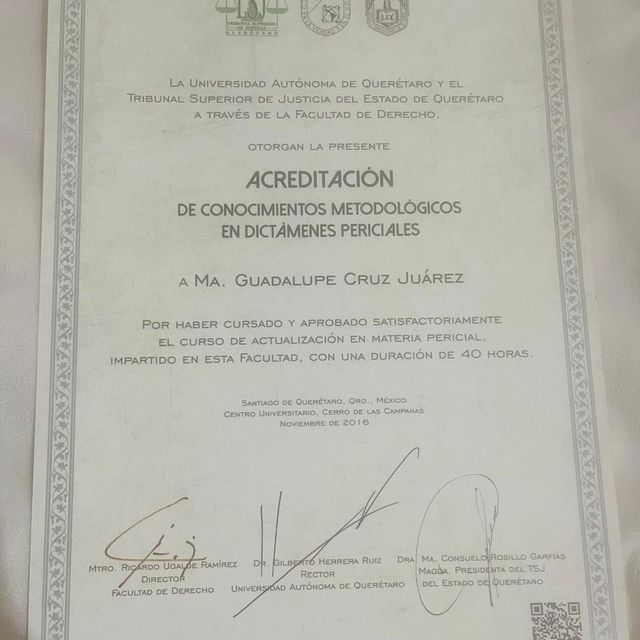 Ampliar imagen: certificate 2