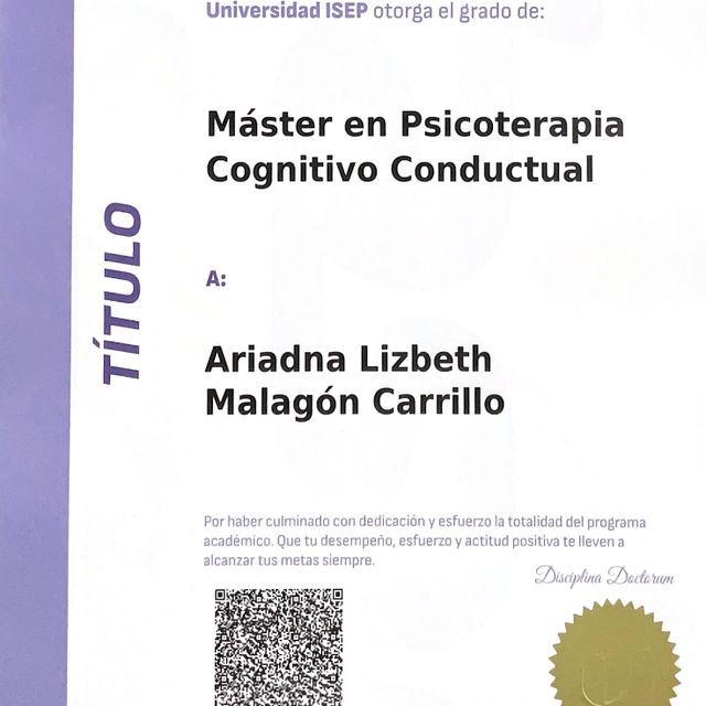 Ampliar imagen: certificate 6