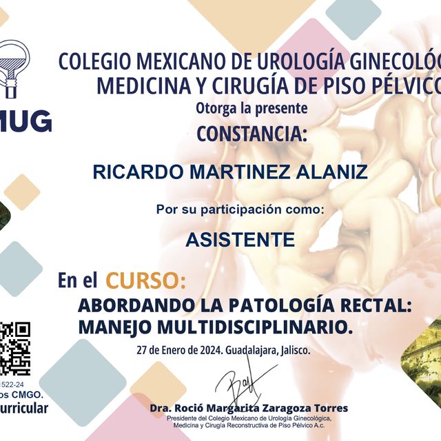 Ampliar imagen: certificate 9