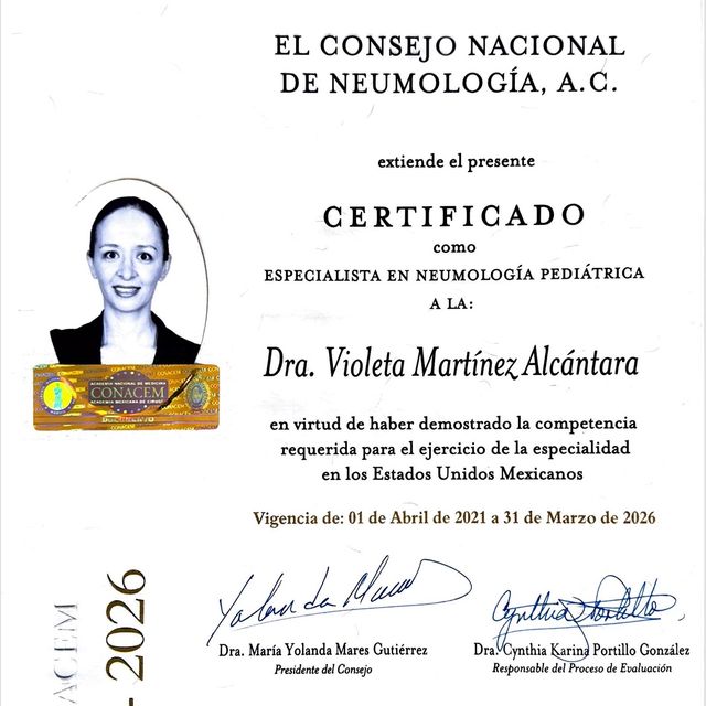 Ampliar imagen: certificate 2