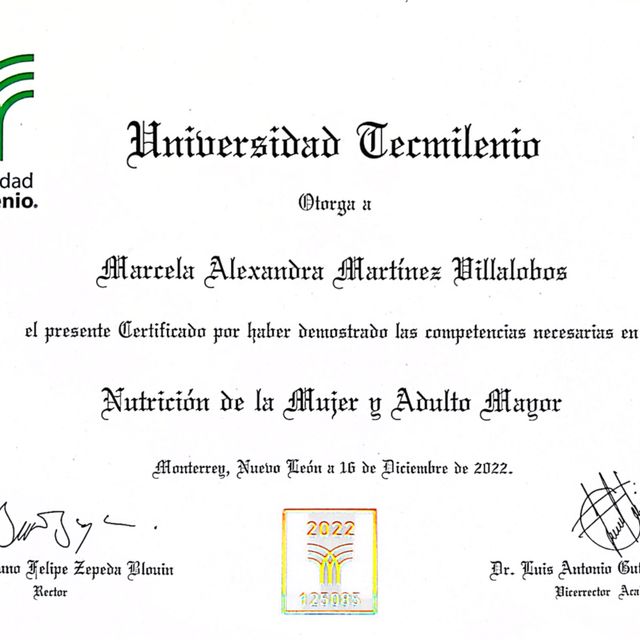 Ampliar imagen: certificate 2