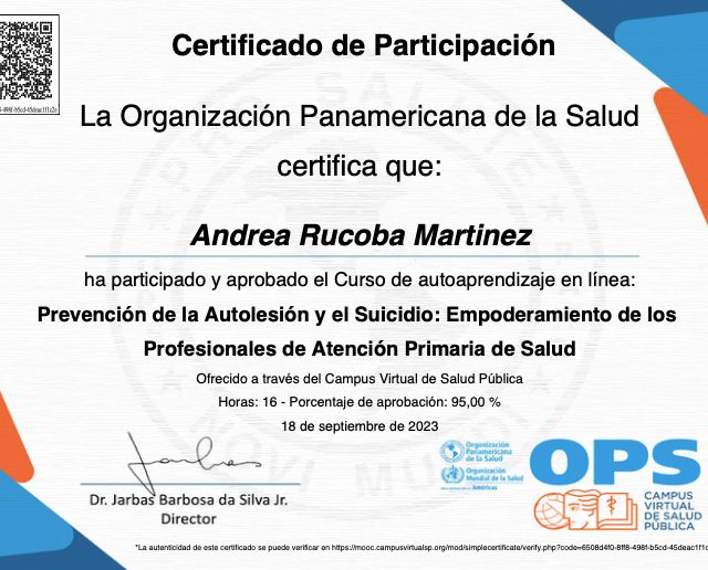 Ampliar imagen: certificate 5