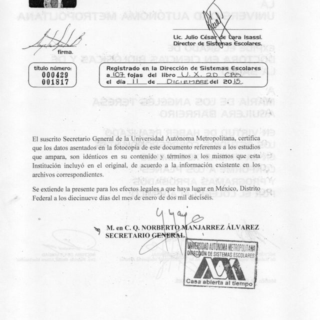 Ampliar imagen: certificate 4