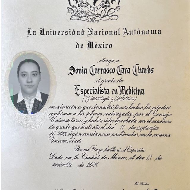 Ampliar imagen: certificate 2