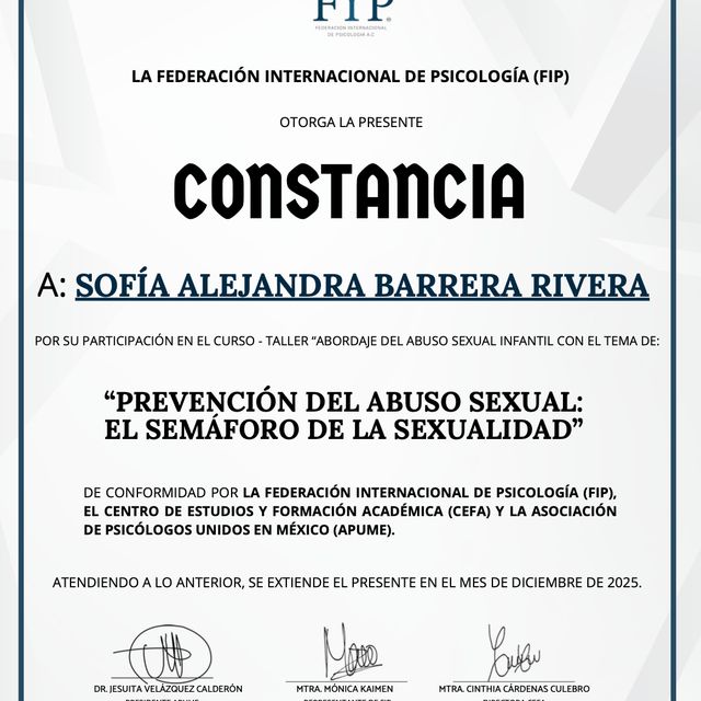Ampliar imagen: certificate 8